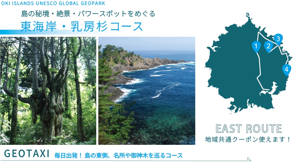 ジオタク 東海岸・乳房杉コース