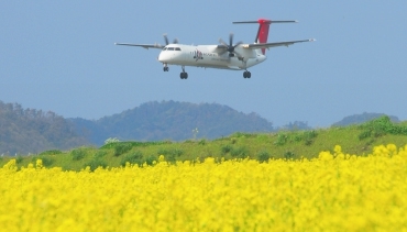 飛行機で島へ